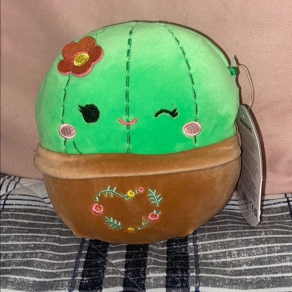 Squishmallows Other - Squishmallows shadi Cactus Plush Toy